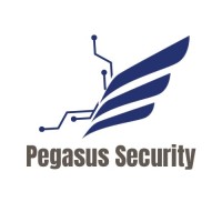 Pegasus Security logo - Similar company to Sendoagil