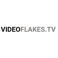 videoflakestv logo - Similar company to Extech Digital