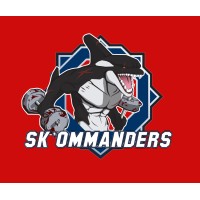 Bureau Des Sports 2019 Skema Lille