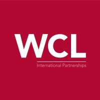 World City Links logo - Similar company to Third Sector International