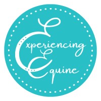 Experiencing Equine