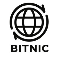 Bitnic logo - Similar company to Infinity It Professionals