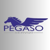 Pegaso servizi srl logo - Similar company to Texa Poland