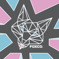 FoxCo. logo - Similar company to Wfo Consulting
