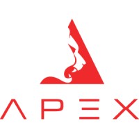 Apex Digital Alliance logo - Similar company to Dizainăr