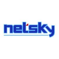 Netsky Pty Ltd logo - Similar company to Logan Real Estate Co.,Ltd