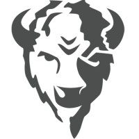 Bison logo - Similar company to Bison Technology Group