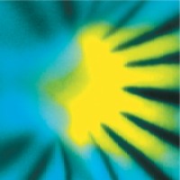 The New Phytologist Foundation logo - Similar company to Recobar