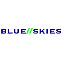 B-Skies, Inc. logo - Similar company to Goodthink Labs