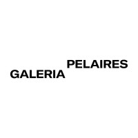 Galeria Pelaires logo - Similar company to Aba Art Lab