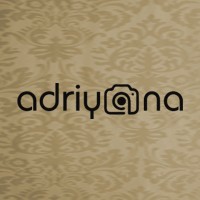Adriyana logo - Similar company to Dmsl