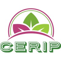 CERIP Sénégal logo - Similar company to Ctic Dakar - Incubateur De Startups Tic