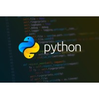 python-programmeur logo - Similar company to Gaganam Technology Solutions