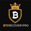 Btcrecoverypro logo - Similar company to Satz: Bitcoin Layer1+