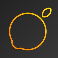 Grey Lemons Studio logo - Similar company to The Owl Co.