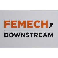 Femech Downstream logo - Similar company to Bravo Dc | Bravo Downstream Capacity