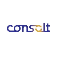consolt logo - Similar company to Big Wave Gaming