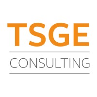 TSGE Consulting logo - Similar company to Tsg Consulting, Llc