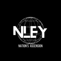 NLEY CONSULTANTS PRIVATE LIMITED logo - Similar company to Mind Fox Consulting India