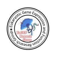 Eukaryotic Gene Expression and Function Research Group logo - Similar company to Hku School Of Biomedical Sciences