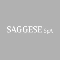 Saggese SpA logo - Similar company to Casco Spa