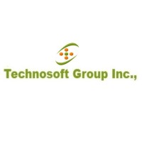 Technosoft Group Inc logo - Similar company to Data Experts, Inc.
