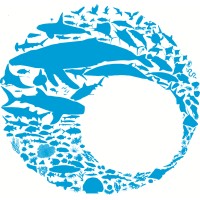 Oceanwise Australia logo - Similar company to Lateral Environmental
