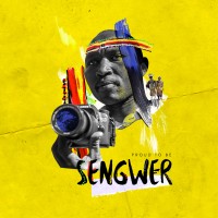 Proud To Be Sengwer logo - Similar company to Statezero Labs