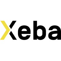 Xeba logo - Similar company to Nettro Technologies Llc