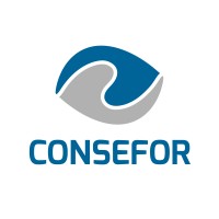 CONSEFOR - Consultoria, Treinamento e Soluções em Engenharia logo - Similar company to Comunidade Java Grude4J