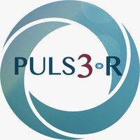 PULS3R logo - Similar company to Link2Coaching