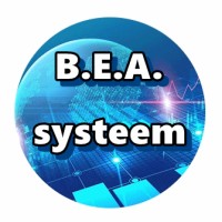 BEA systeem crypto investments logo - Similar company to Blockchain Tech Solutions