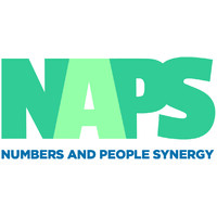 Numbers and People Synergy logo - Similar company to Outsidein Performance Psychology