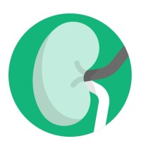 Sociedad Argentina de Nefrología logo - Similar company to Renium