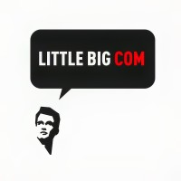 Little Big Com logo - Similar company to Prevconnect