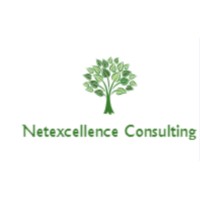 Netexcellence Consulting Inc logo - Similar company to Voyceworks Pvt. Ltd.