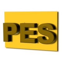 Petroleum Engineering Services, LLC logo - Similar company to Eps - Engineering Professionals