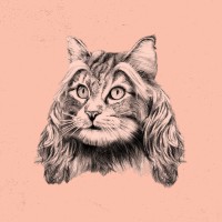 Hyperballad Music logo - Similar company to Tatter