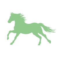 Paddock Consultancy