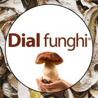 DIAL FUNGHI srl logo - Similar company to Funghidea