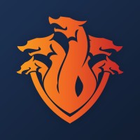 The Dragon People / Accelerated Workflow Solutions logo - Similar company to Edist