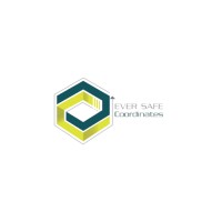 Ever Safe Co logo - Similar company to Ever Safe Srl