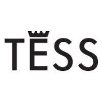 TESS LEATHER logo - Similar company to Imaginary Walk