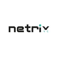 Netrix VC logo - Similar company to Netrix Link
