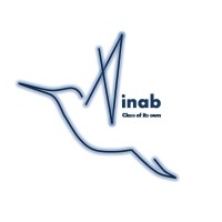 Ainab logo - Similar company to Flugel Academics - Flugela