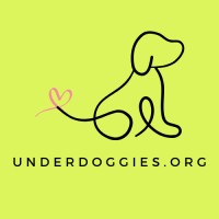 Underdog Marketing UK logo - Similar company to Verity