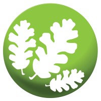 Acorn Financial Services logo - Similar company to Excelerate Financial Services