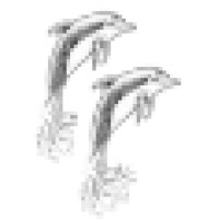 SILVERLINE HR CONSULTING logo - Similar company to Aquasail India