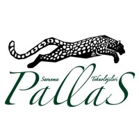 Pallas Savunma Teknolojileri logo - Similar company to Traxnav Teknoloji