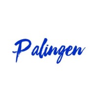 Palingen S.r.l. logo - Similar company to Vazapp